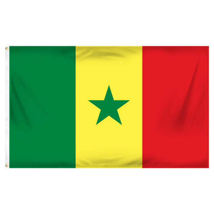 Senegal Nylon Flag