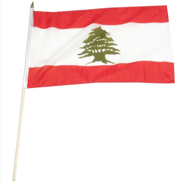 12x18" Lebanon stick flag