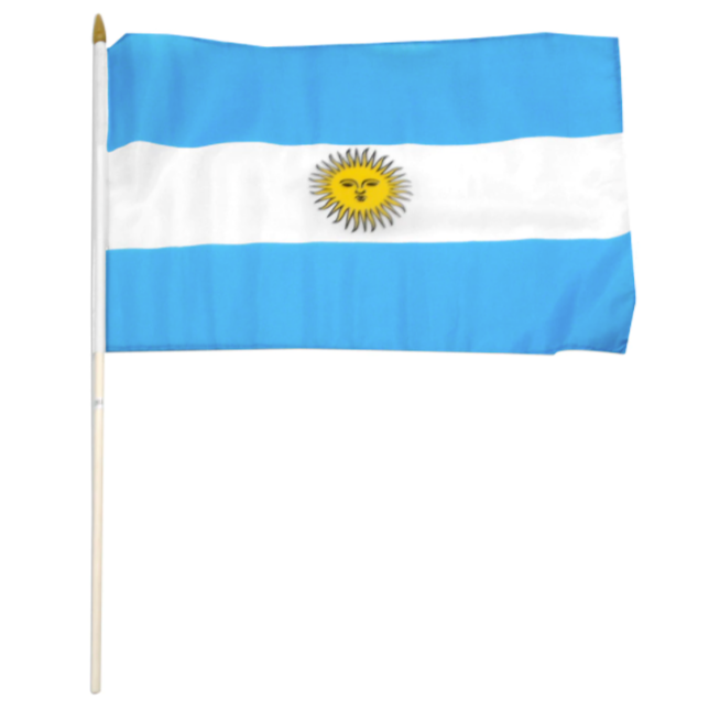 12x18" Aregntina stick flag
