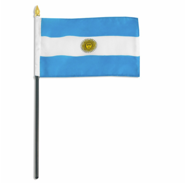 4x6" Argentina stick flag
