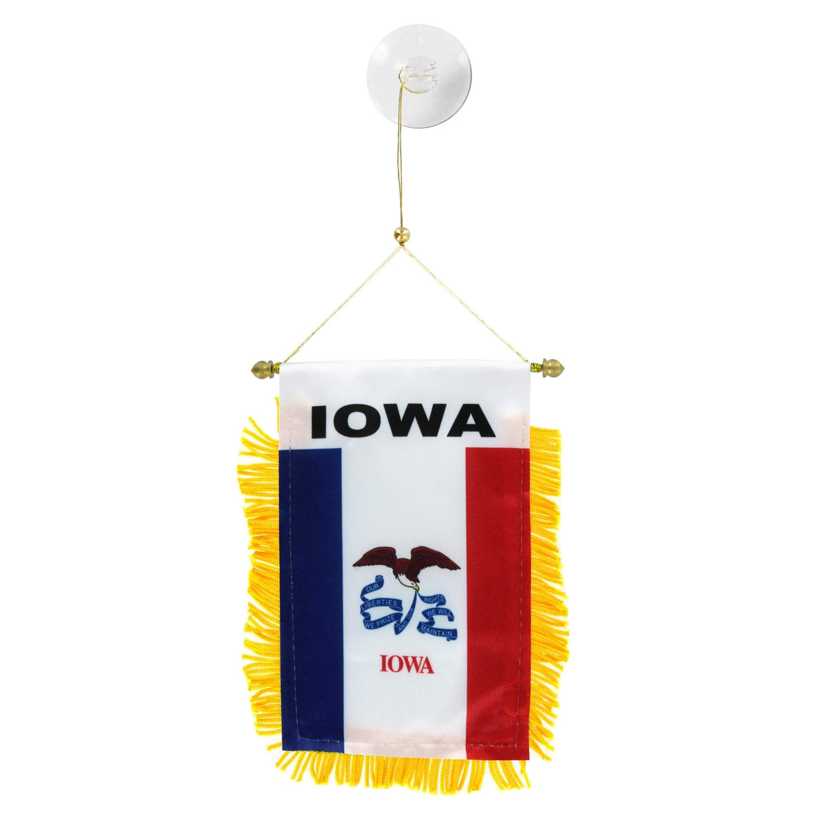 Iowa Mini Banner