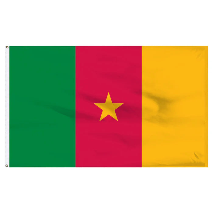 Cameroon Nylon Flag