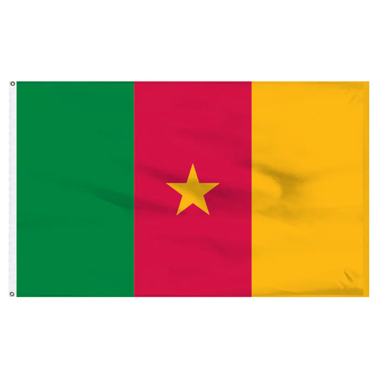 Cameroon Nylon Flag
