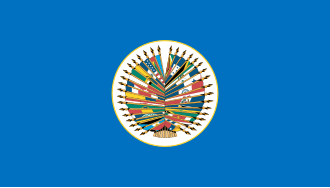 OAS (Organization of American States) Nylon Flag