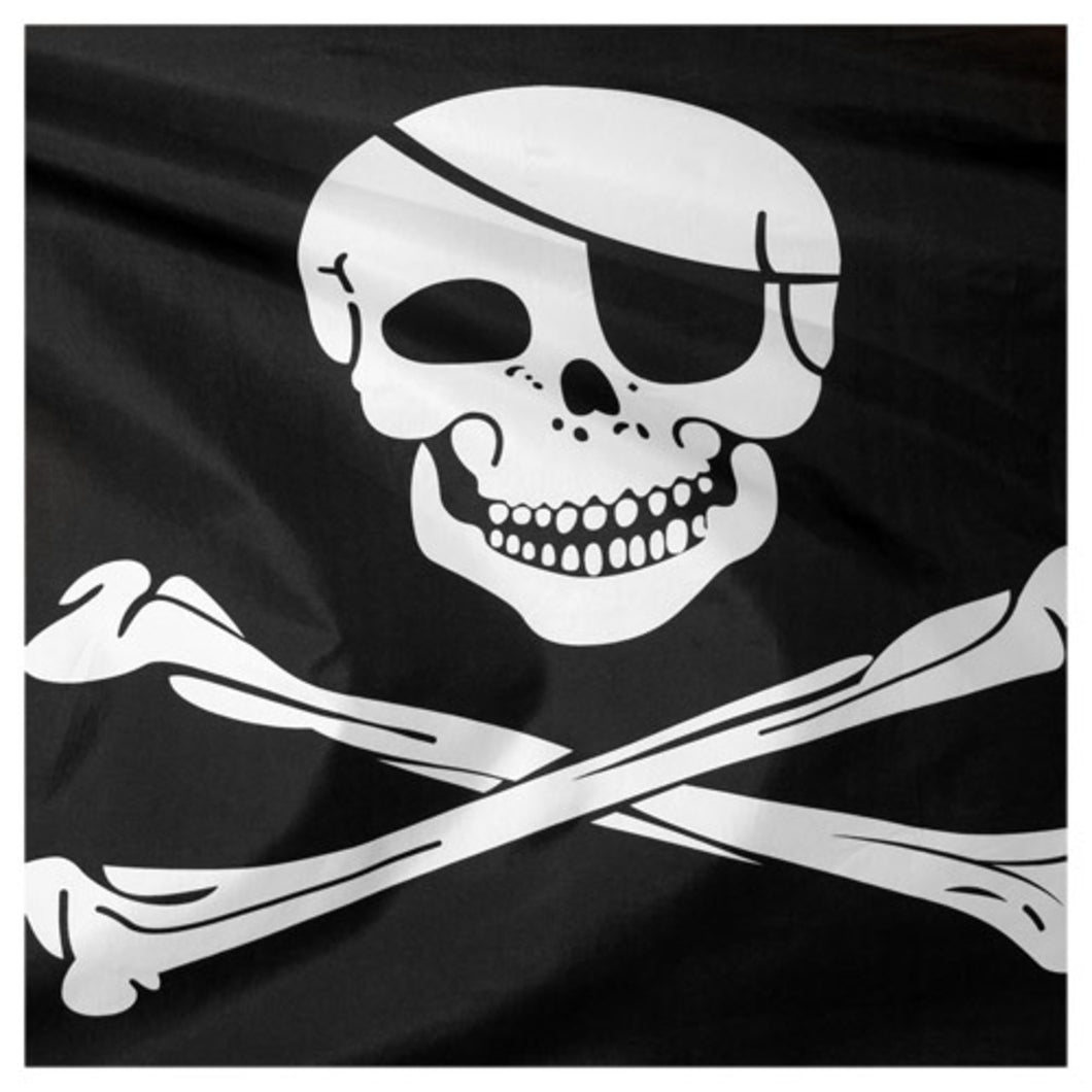 3ft x 5ft Pirate Flag - Printed Polyester