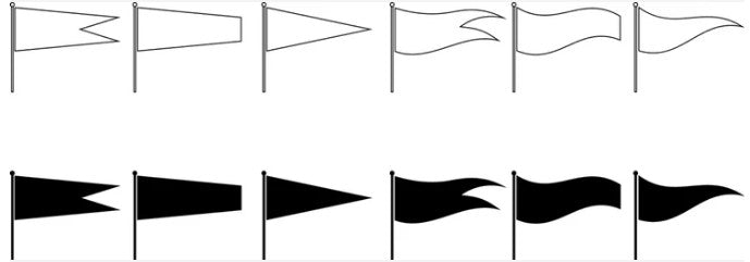 section image