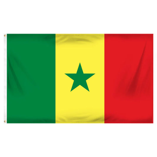 Senegal Nylon Flag