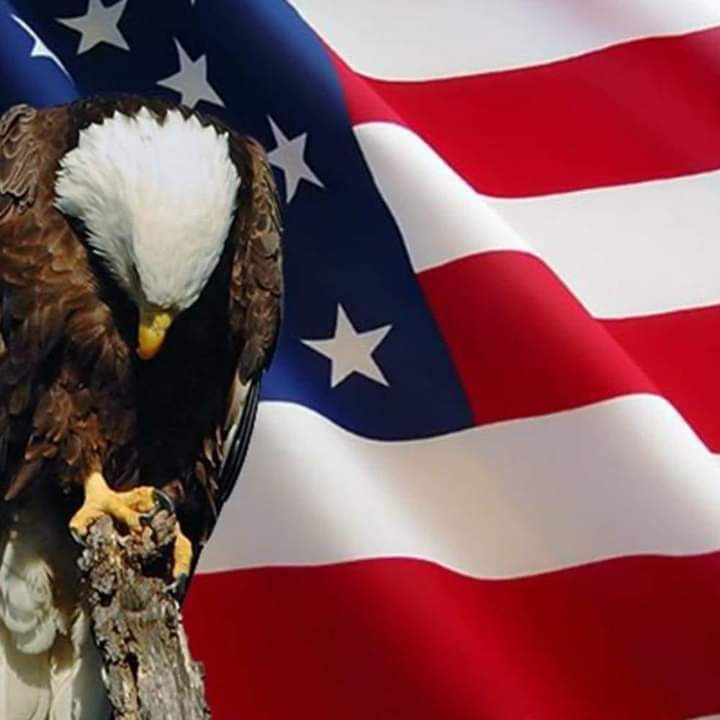 Large American Flags 200 Denier PolyExtra USA Made