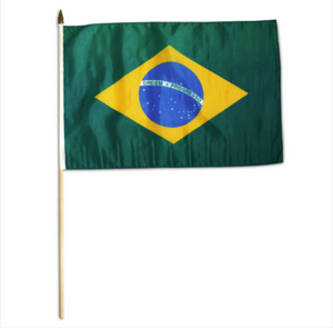12x18" Brazil stick flag