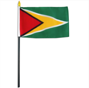 4x6" Guyana stick flag