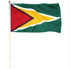 12x18" Guyana stick flag