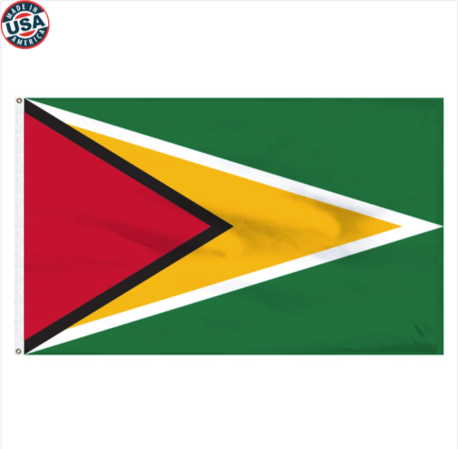 3X5' Guyana Nylon 3x5 flag