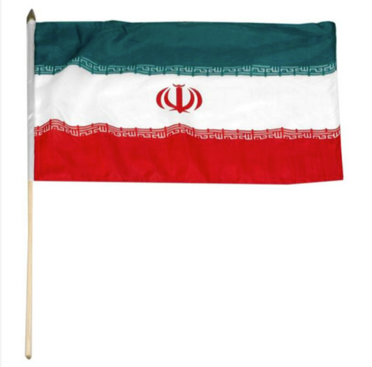 12x18" Iran stick flag