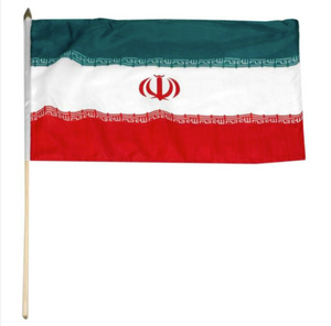 12x18" Iran stick flag