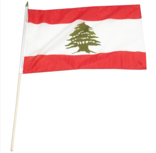 12x18" Lebanon stick flag