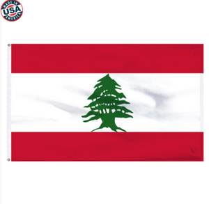 3x5' Lebanon Nylon flag