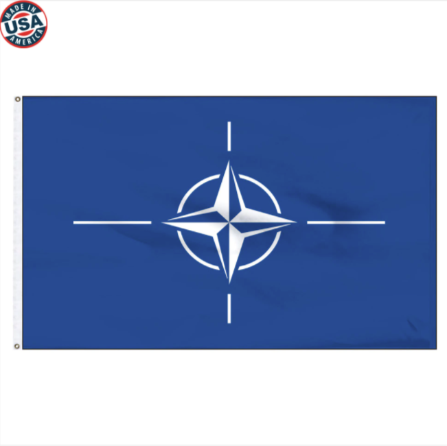 NATO Nylon Flag