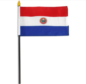4x6" Paraguay stick flag