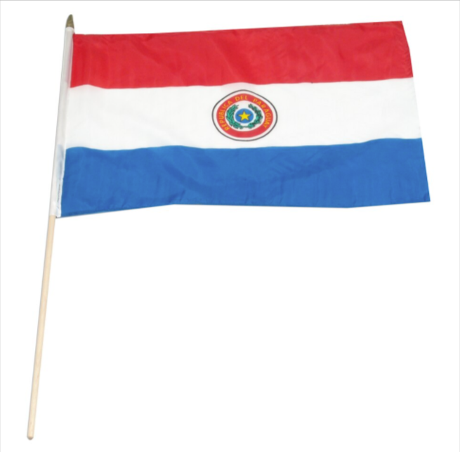 12x18" Paraguay stick flag