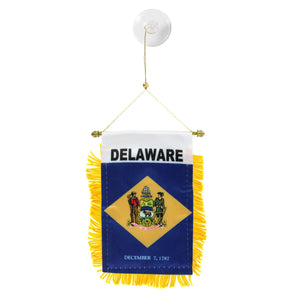 Delaware Mini Banner