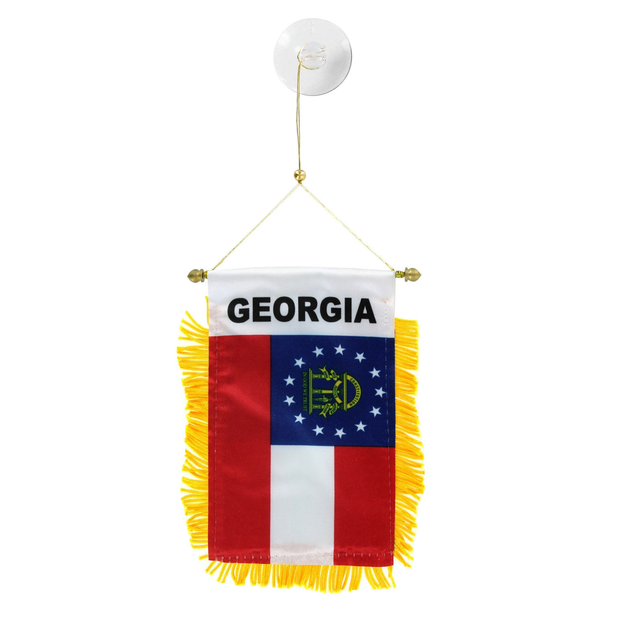 Georgia Mini Banner