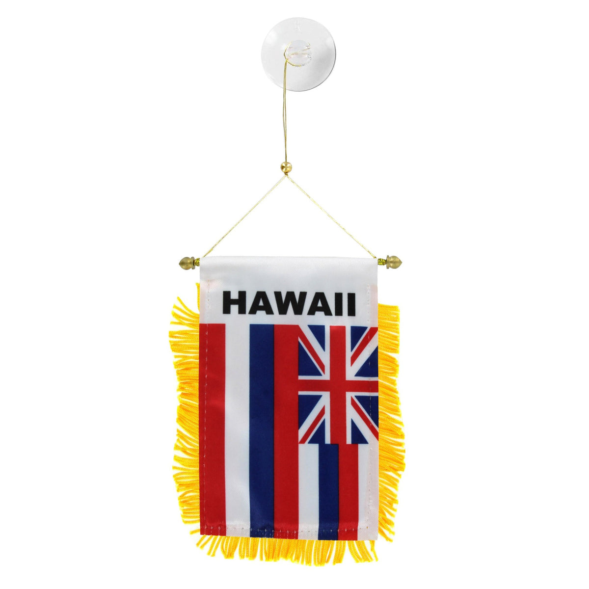 Hawaii Mini Banner