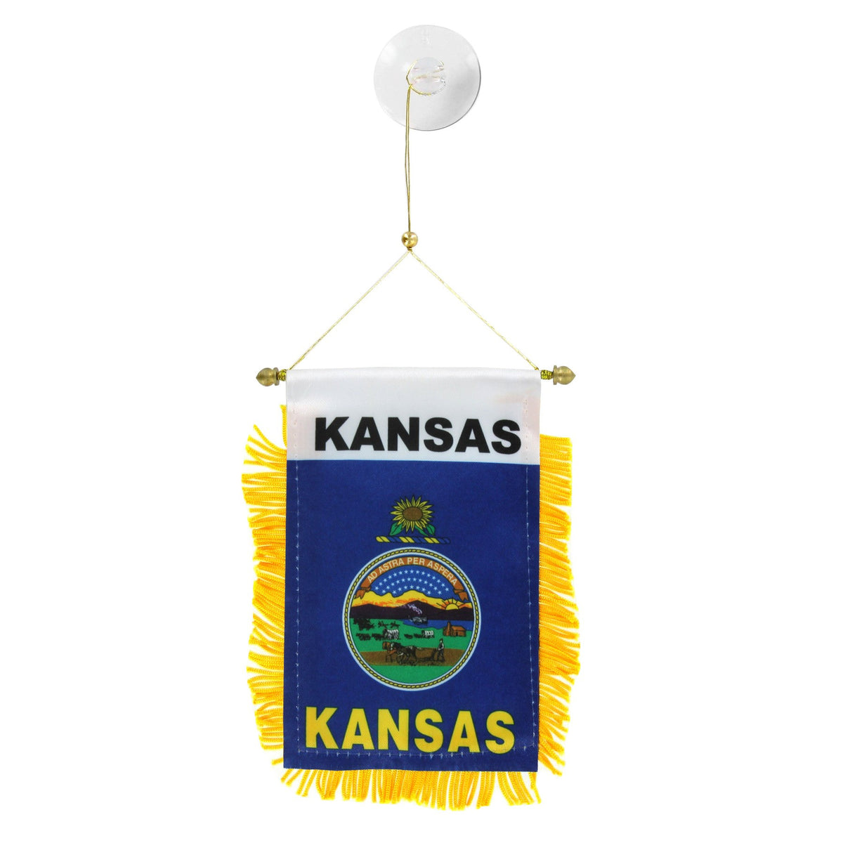 Kansas Mini Banner