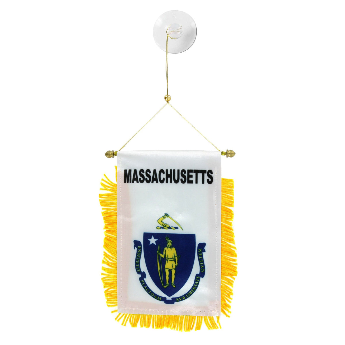 Massachusetts Mini Banner