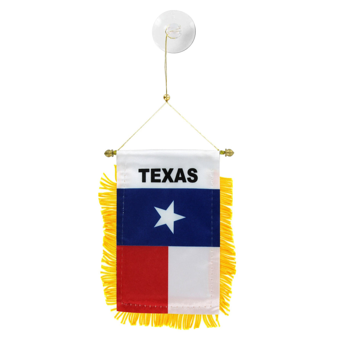 Texas Mini Banner