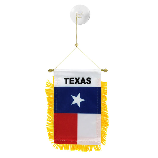 Texas Mini Banner
