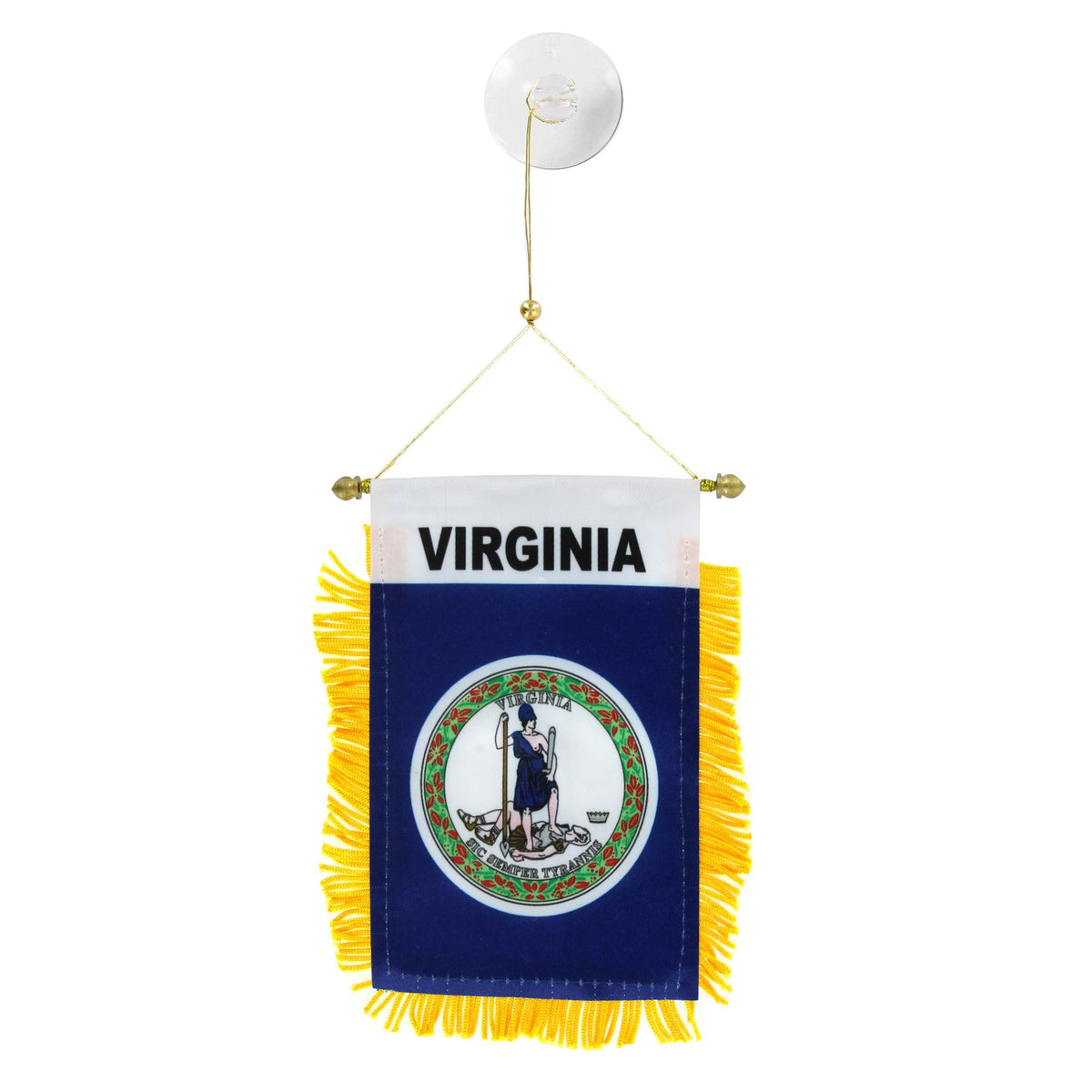Virginia Mini Banner