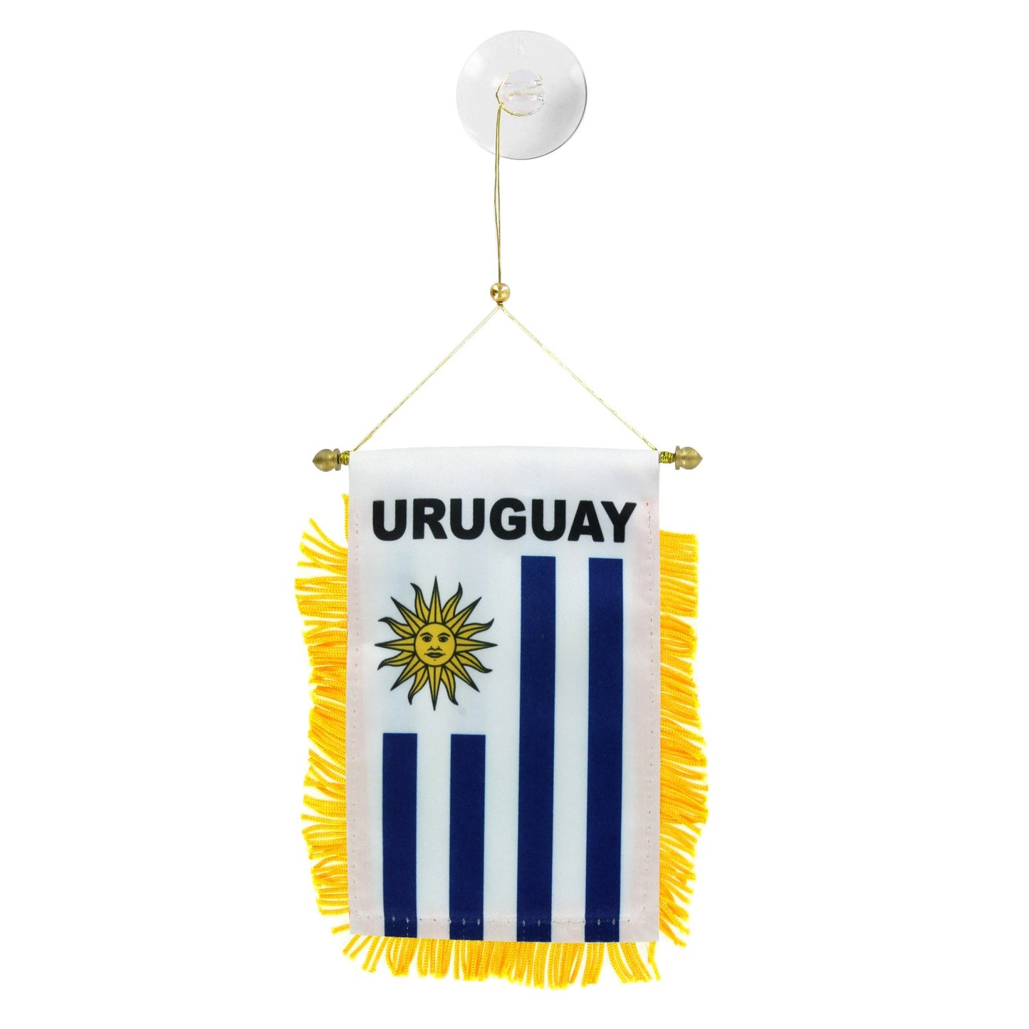 Uruguay Mini Banner