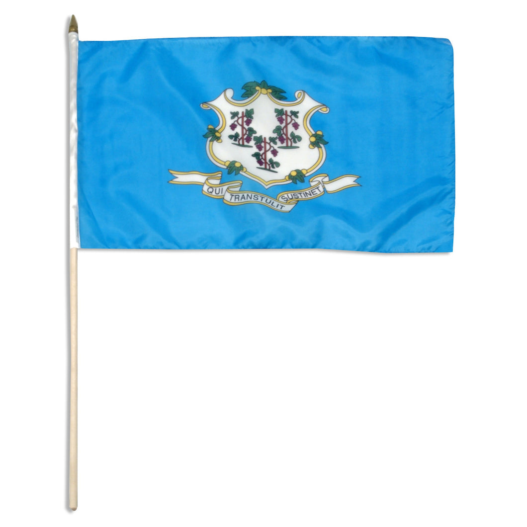 Connecticut 12 x 18 Flag