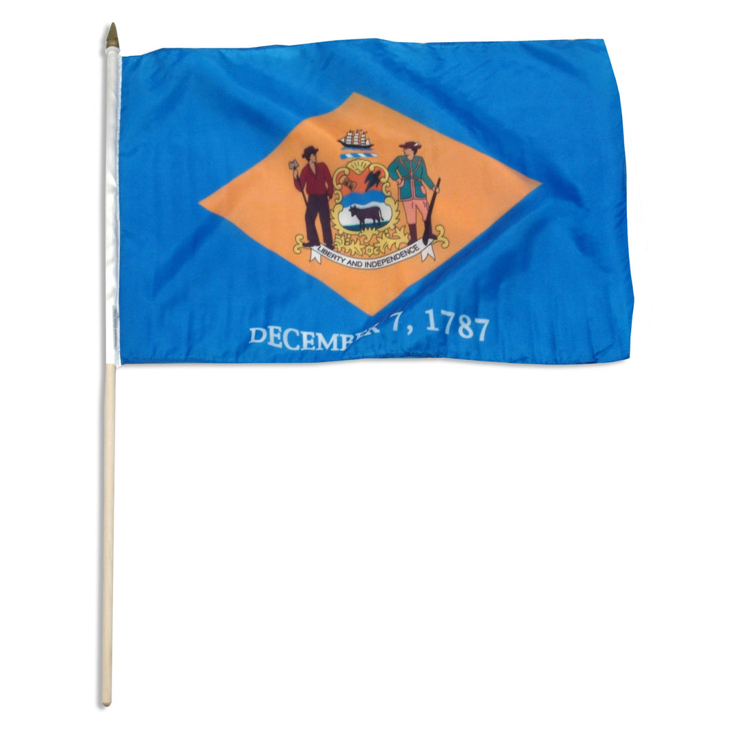 Delaware 12 x 18 Flag