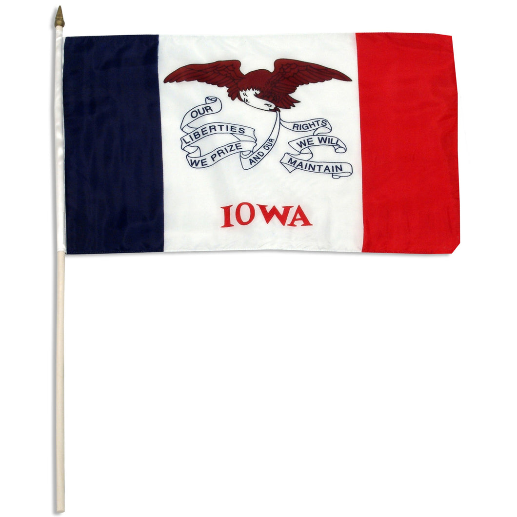 Iowa 12 x 18 Flag