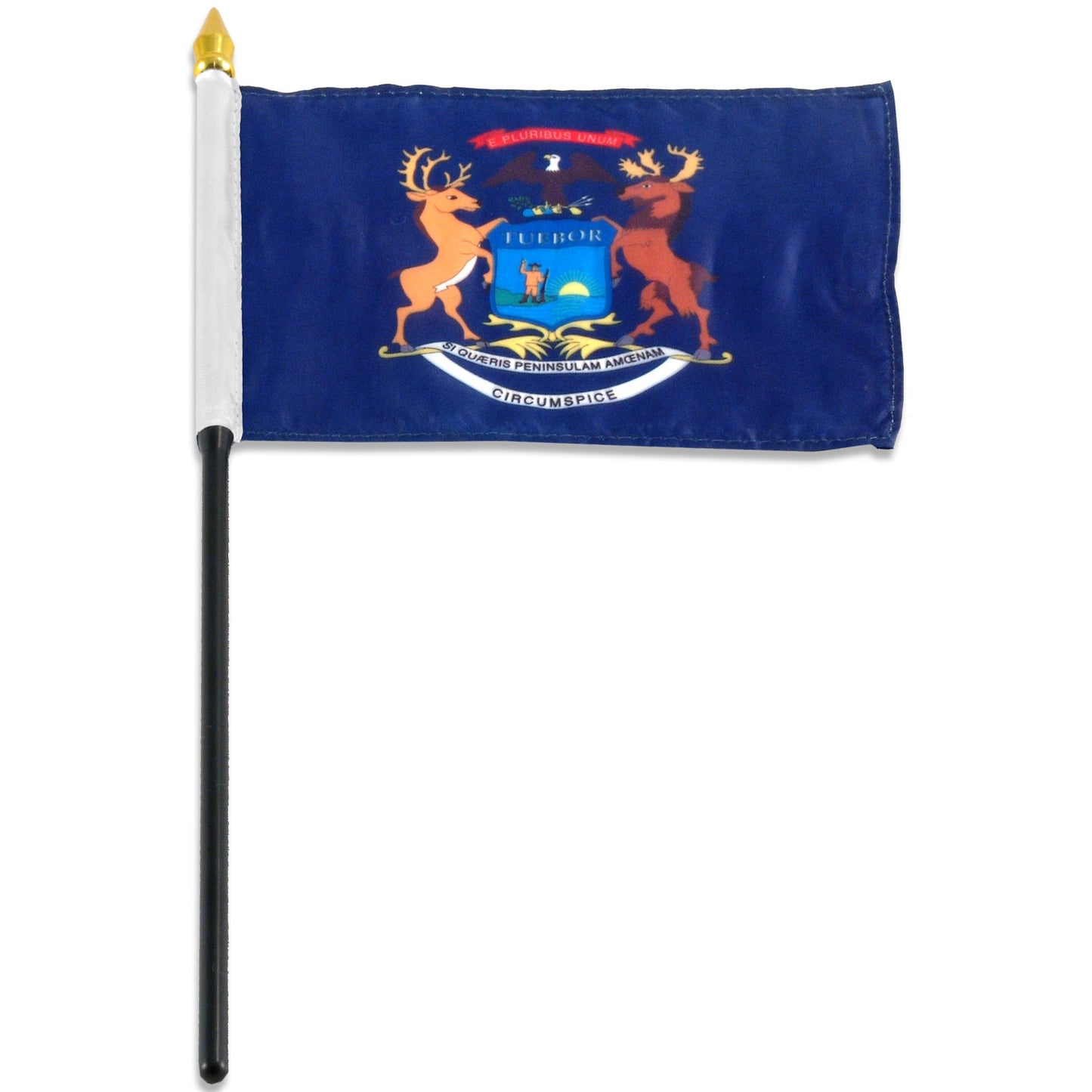 Michigan Flag