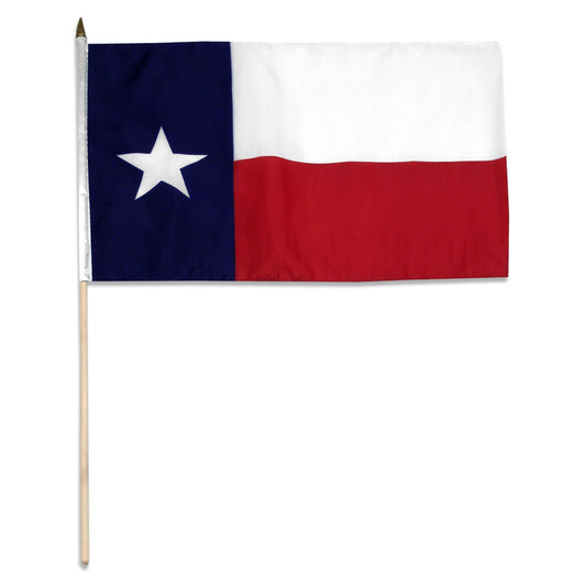 Texas 12 x 18 Flag